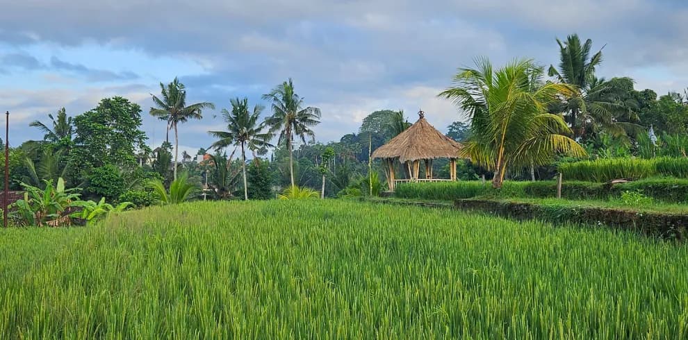 Rondreis Bali foto 2
