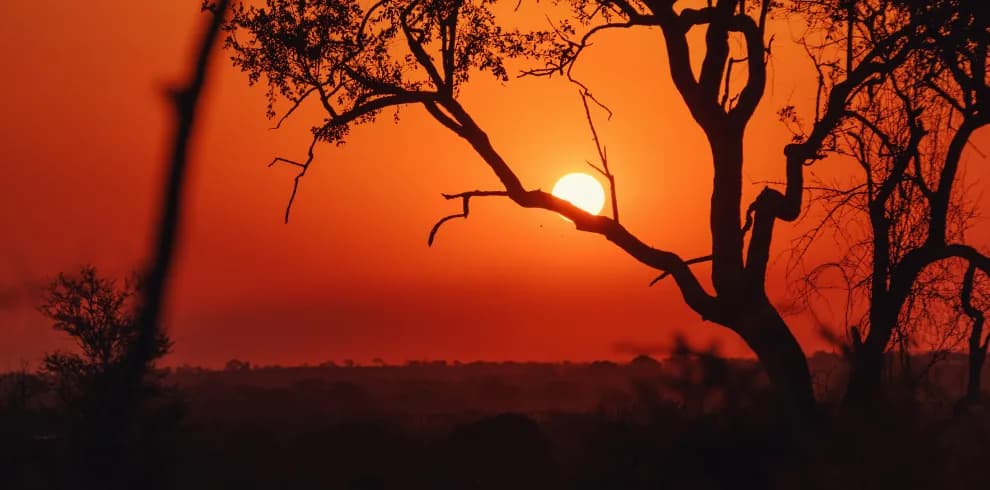 Rondreis Zuid-Afrika foto 2