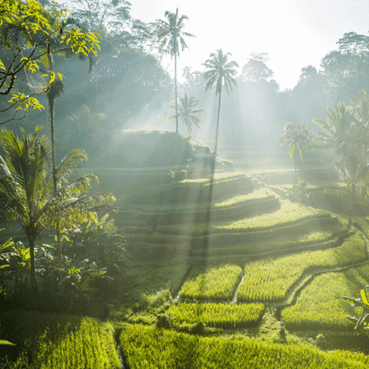 Bali