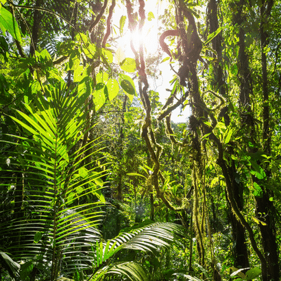Costa Rica