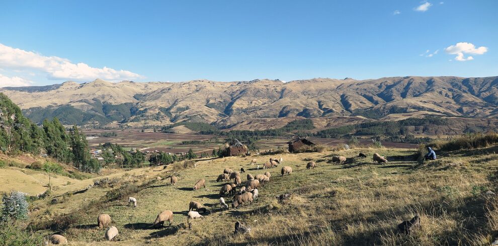 Sacred valley Peru
